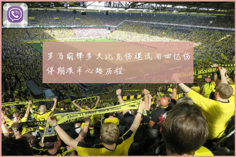 罗马前锋多夫比克伤退流泪回忆伤停期艰辛心路历程
