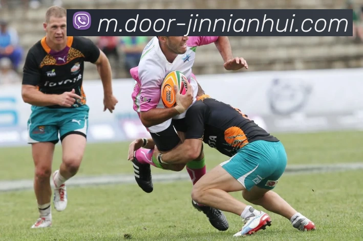 金年会发展历程